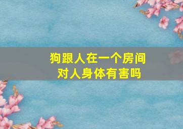 狗跟人在一个房间 对人身体有害吗